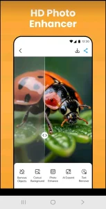 لقطة شاشة لعملية تحرير صورة في التطبيق